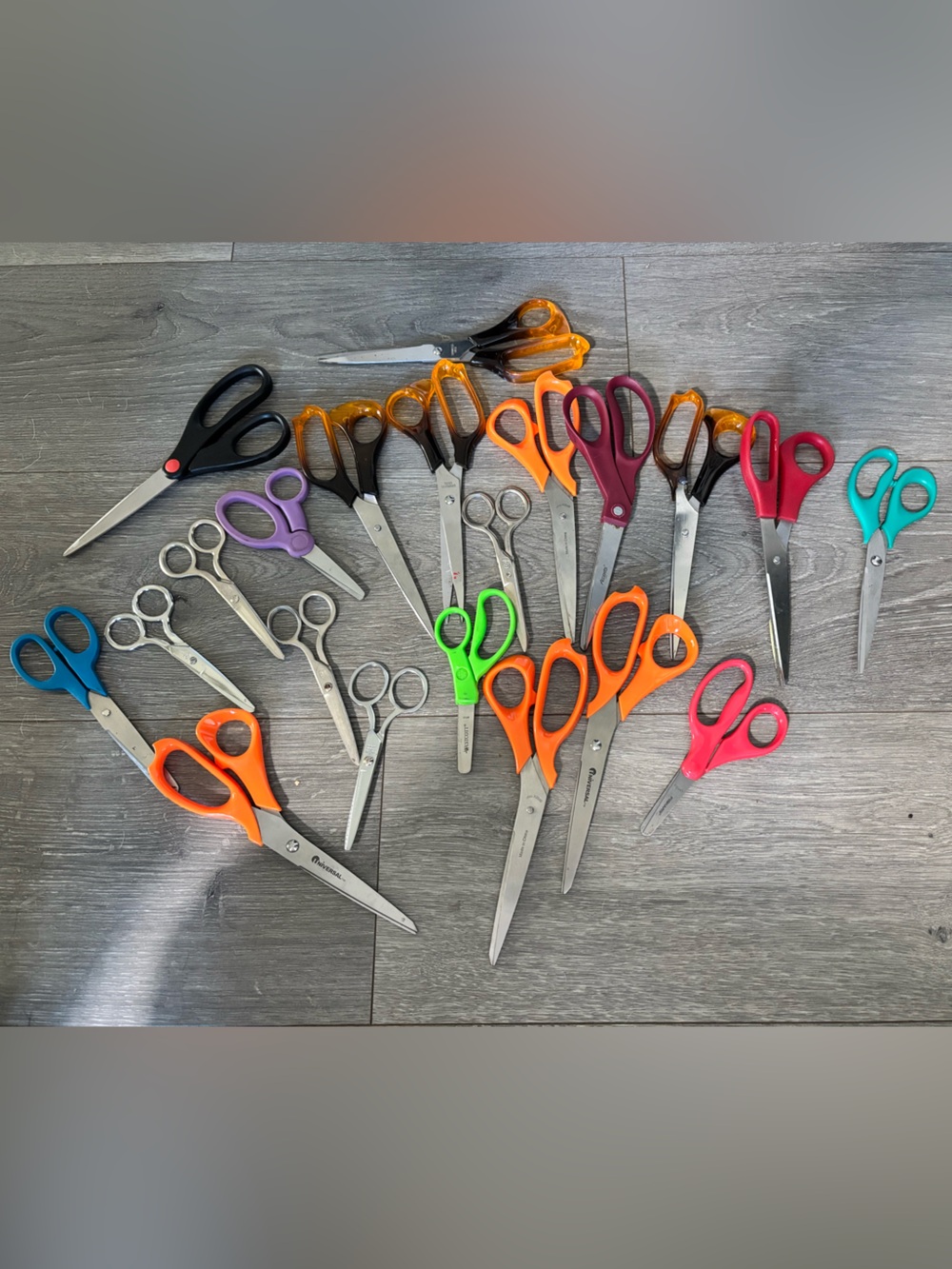 21 Pack of Various Scissors ✂️